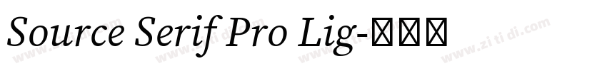 Source Serif Pro Lig字体转换